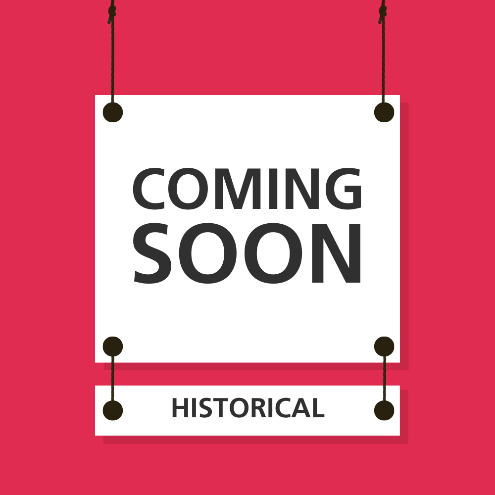 Historical Fiction Workbook