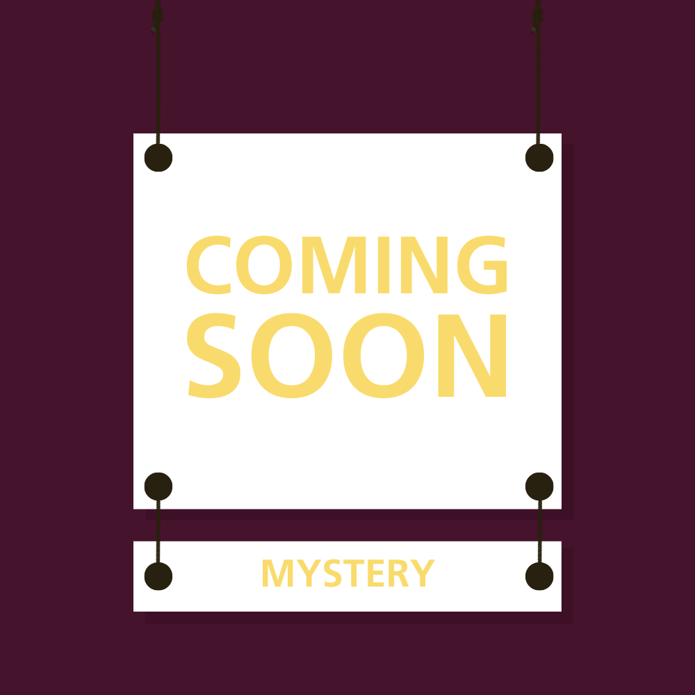 Mystery Workbook
